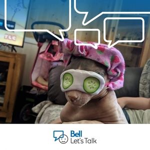 Meet your Posher, Daisylee